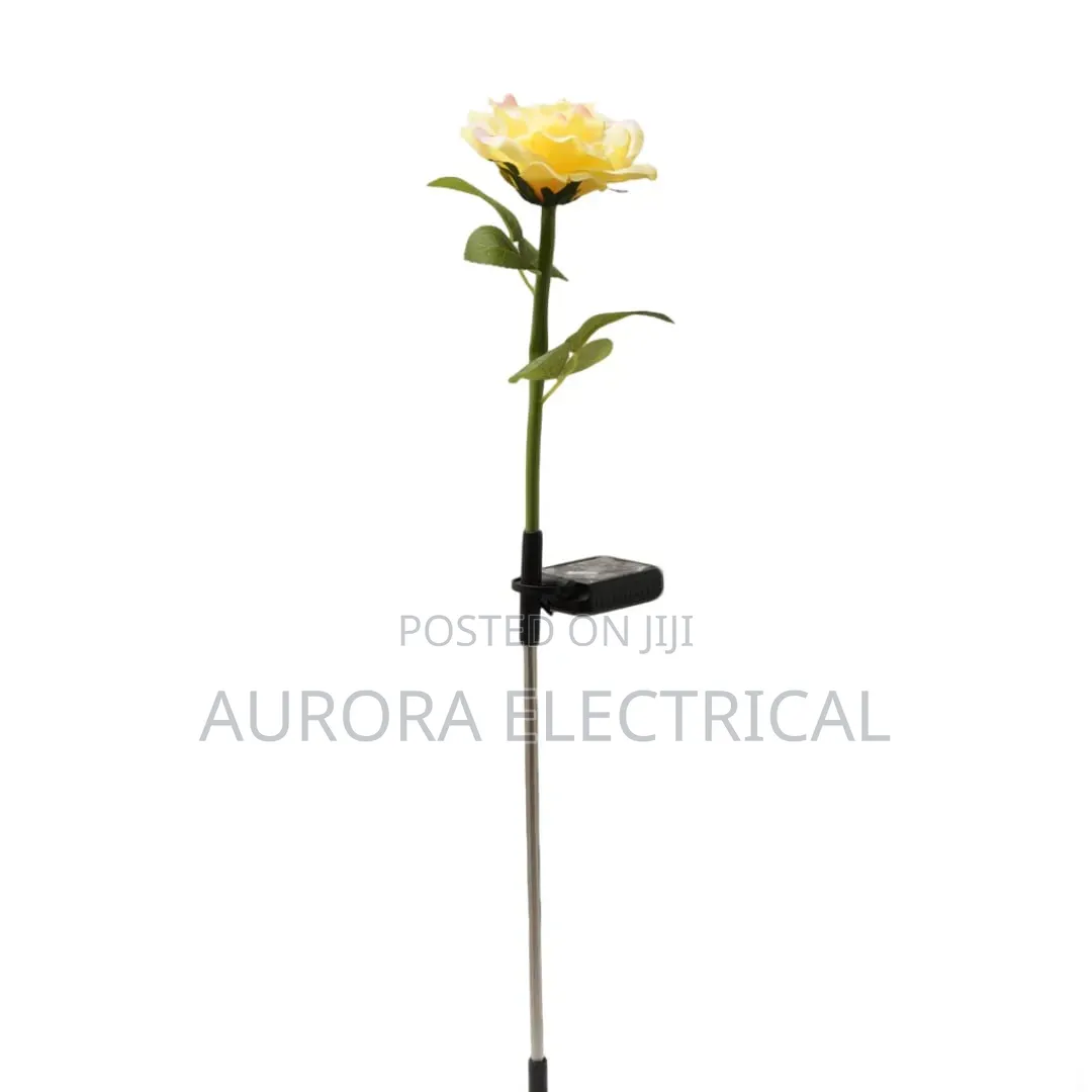 Solar Flowers Led Lights.