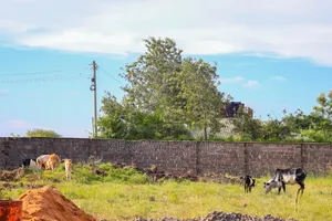 Buy And Build In Juja.M.M