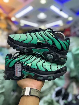Nike Air Max Tn Colourway Size 40 to 45