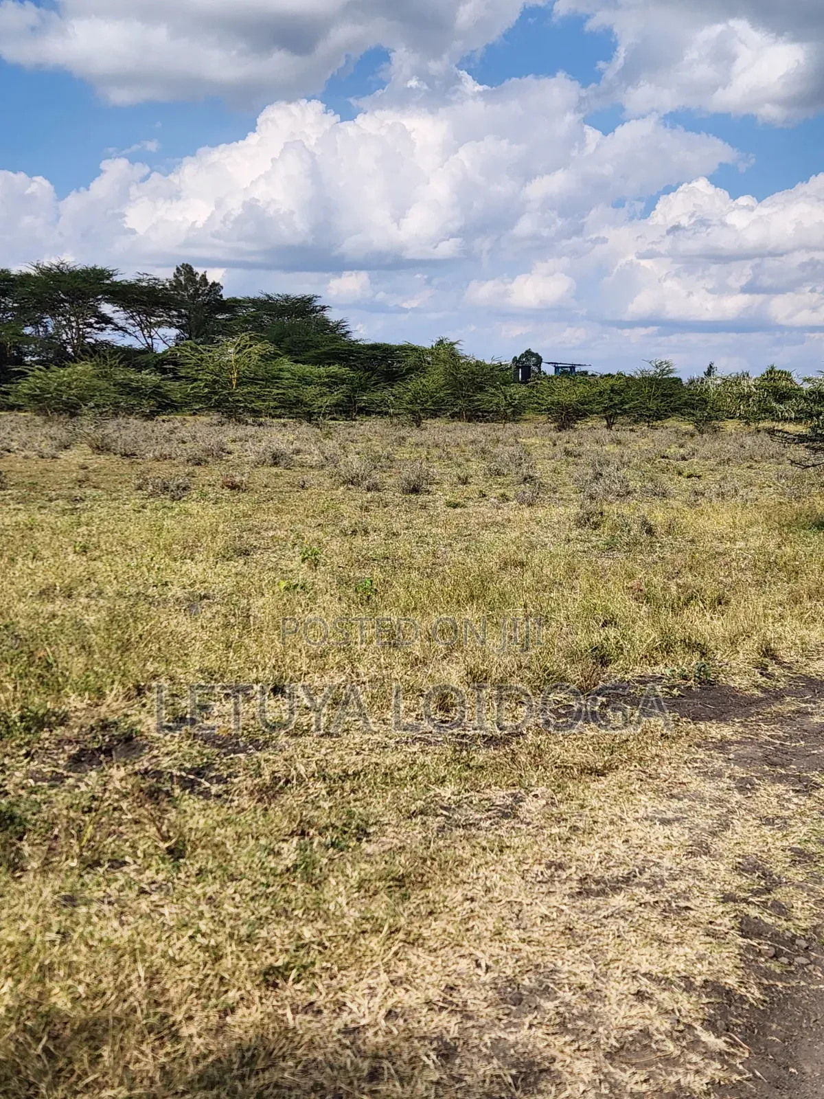 5 Acres Birika(Olooloitikoshi) Isinya-Kiserian Road
