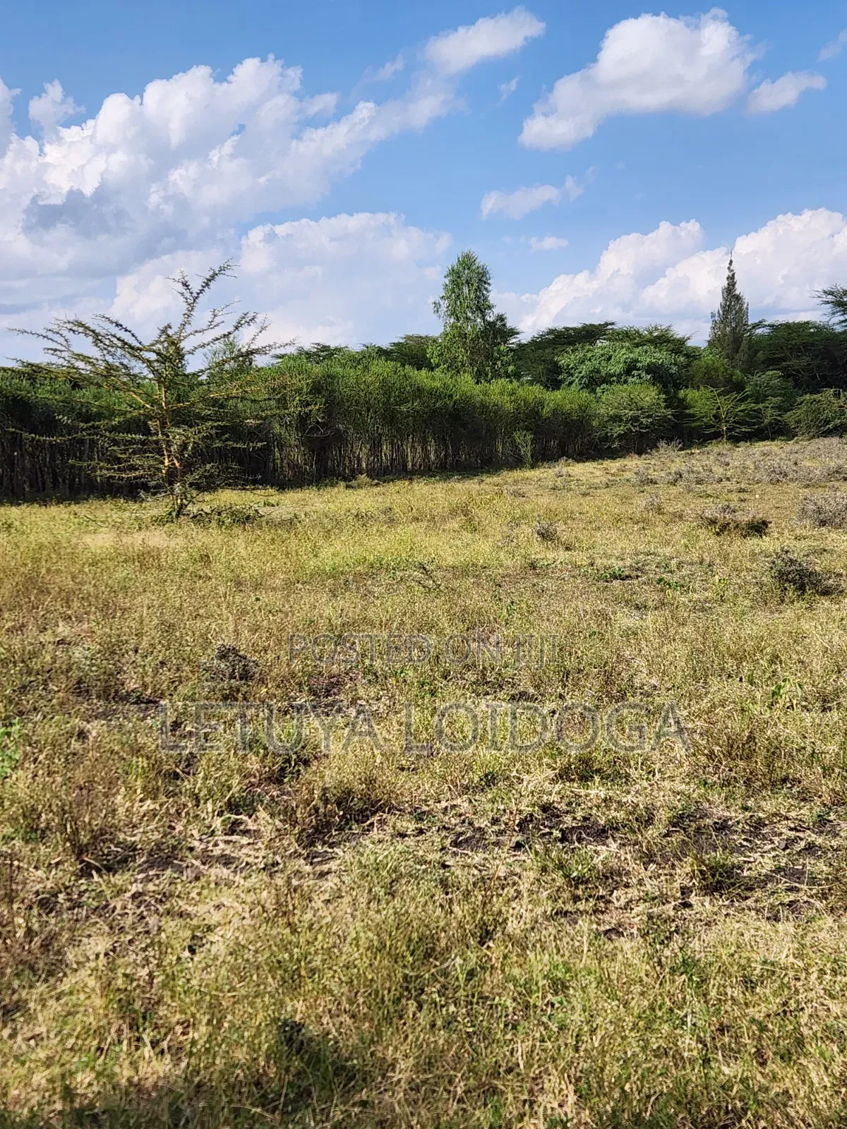5 Acres Birika(Olooloitikoshi) Isinya-Kiserian Road