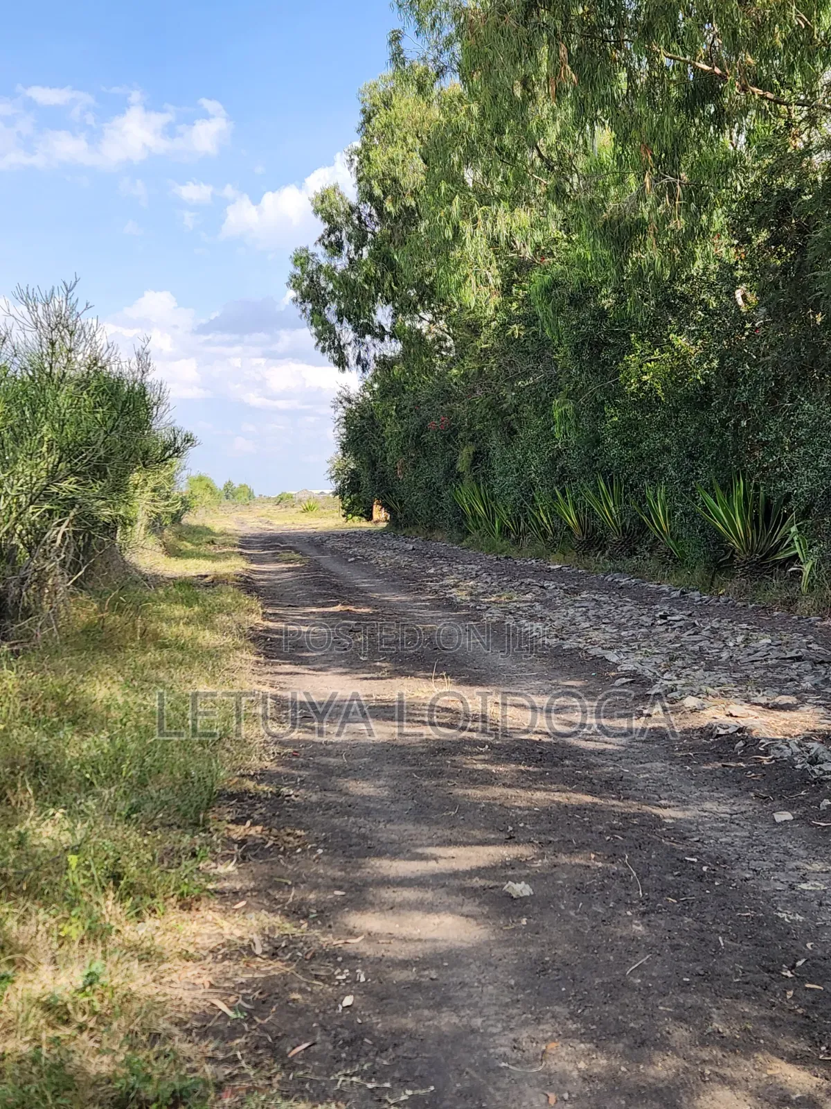 5 Acres Birika(Olooloitikoshi) Isinya-Kiserian Road