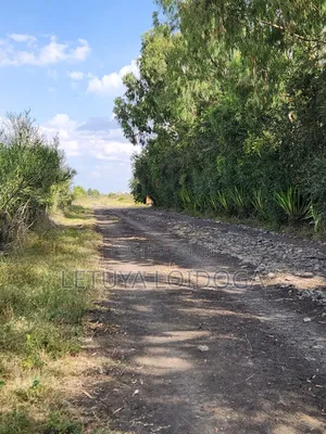 5 Acres Birika(Olooloitikoshi) Isinya-Kiserian Road