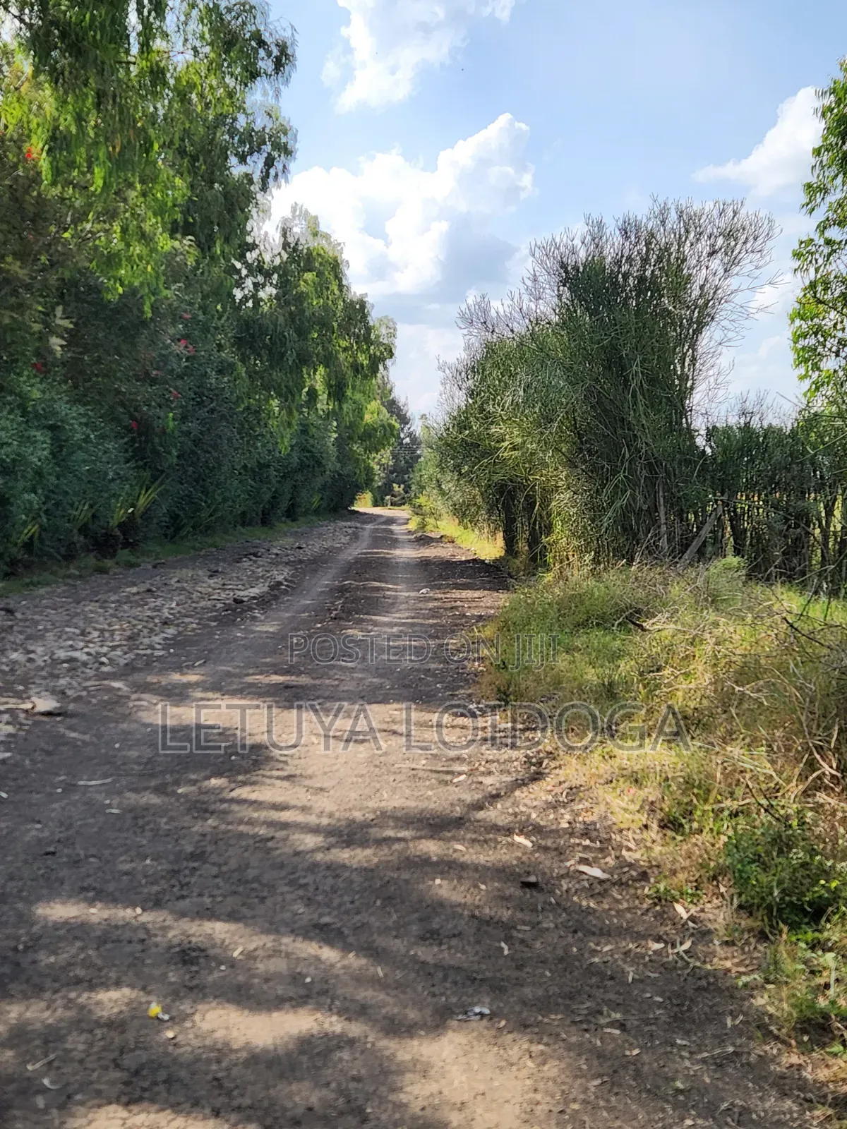 5 Acres Birika(Olooloitikoshi) Isinya-Kiserian Road