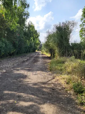 5 Acres Birika(Olooloitikoshi) Isinya-Kiserian Road