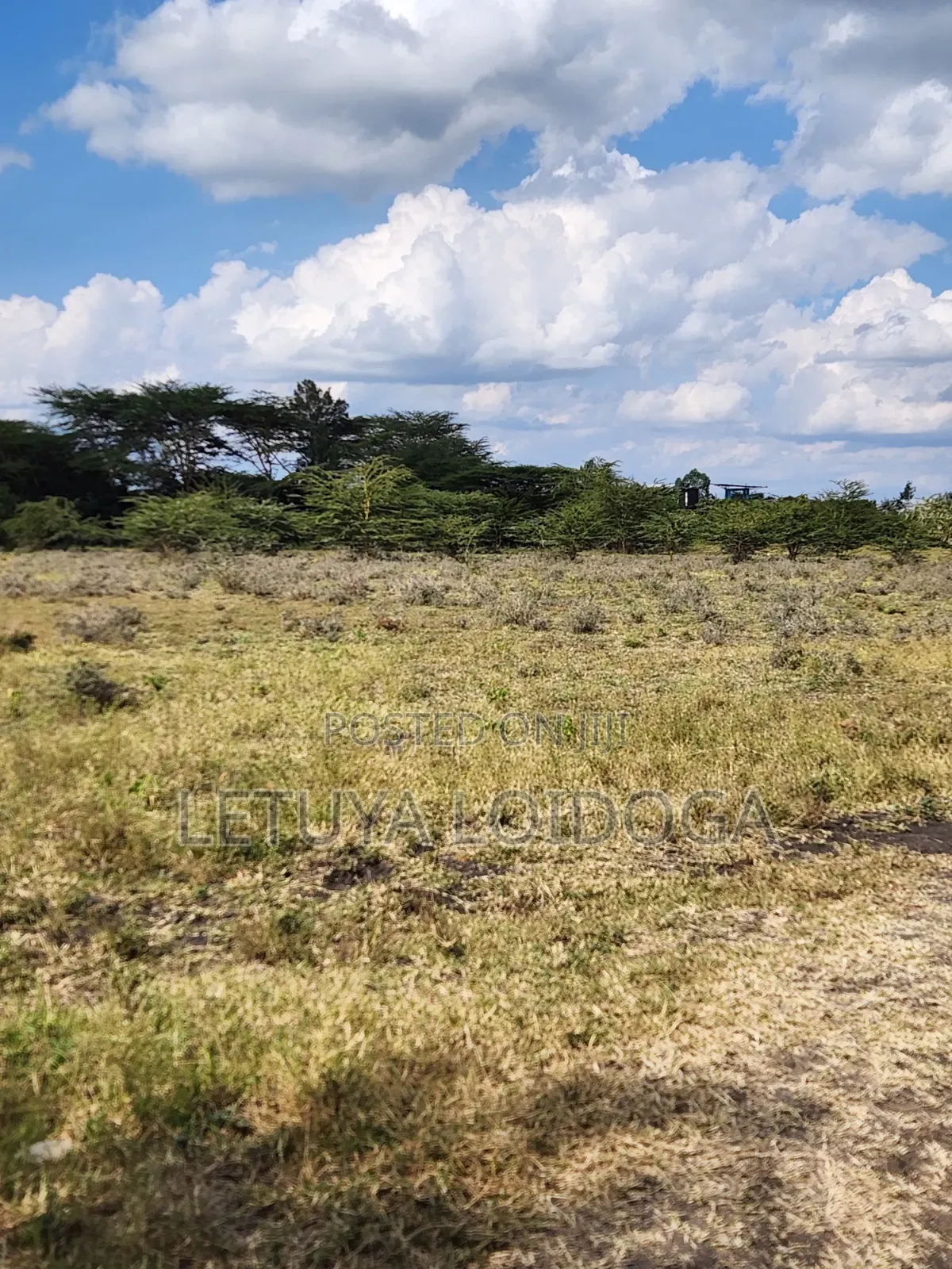 5 Acres Birika(Olooloitikoshi) Isinya-Kiserian Road