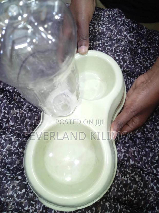 2-in-1 Automatic Pet Food and Water Bowl Set for Dogs and Cats