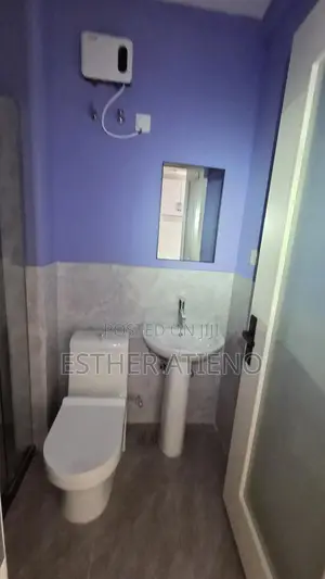 Studio Apartment in Alba Apartments, Jamhuri Estate for rent