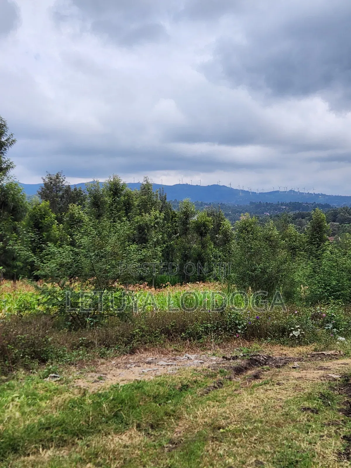 1⁄4 Acre Plots Ngong-Olkeri