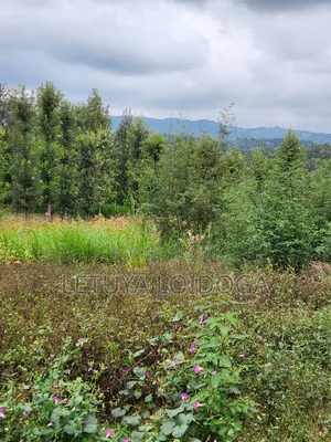 1⁄4 Acre Plots Ngong-Olkeri