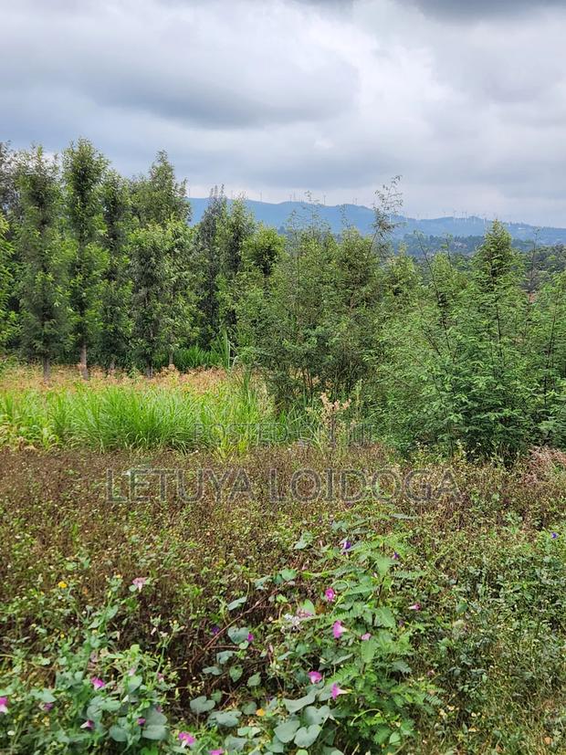 1⁄4 Acre Plots Ngong-Olkeri - thumbnail 2