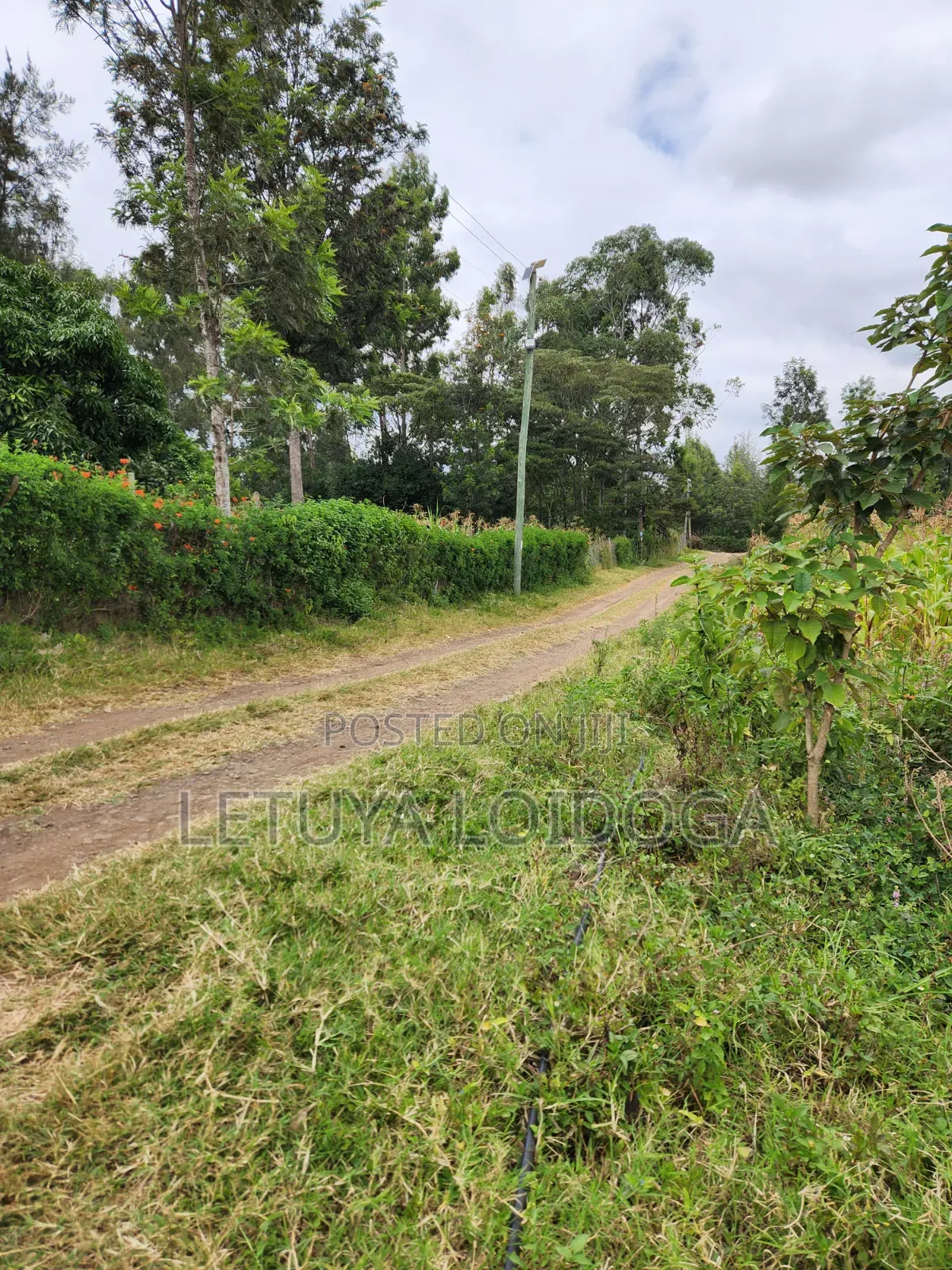 1⁄4 Acre Plots Ngong-Olkeri