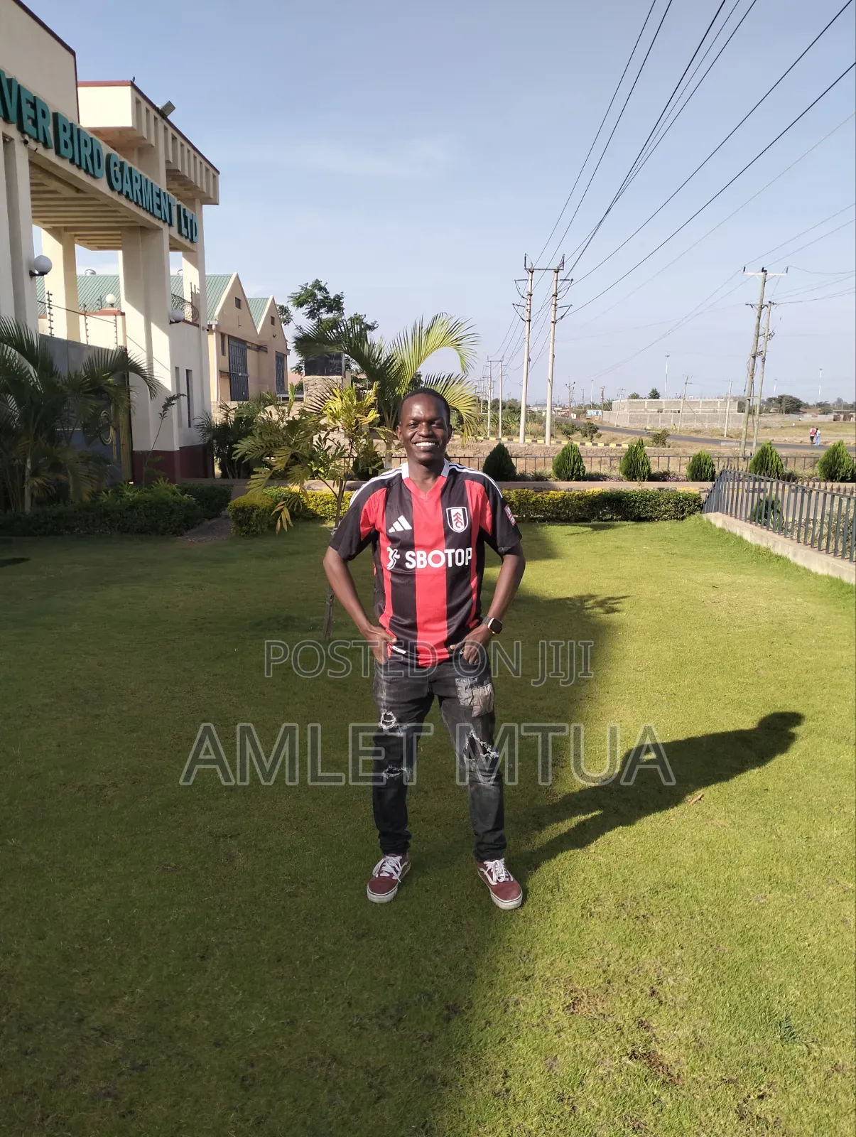 Sales Executive
