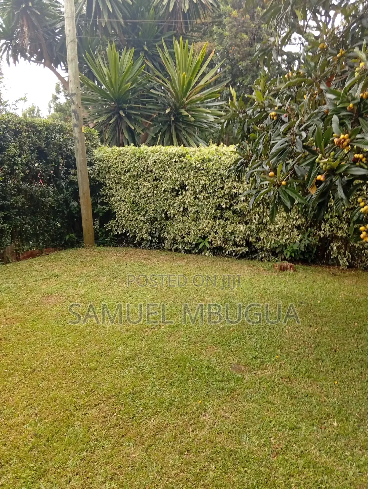 3bdrm Bungalow in Karen for rent