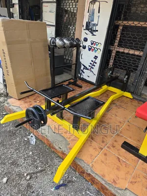 Back Exercises Machines* T Bar Rowing Machine.