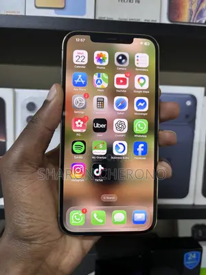 Apple iPhone 12 Pro Max 256 GB Gold