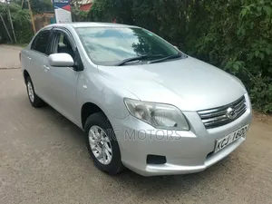 Toyota Axio 2010 Silver