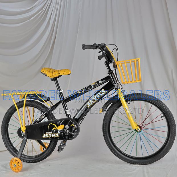 Skyfly 20 Inch Training Wheel Bicycle