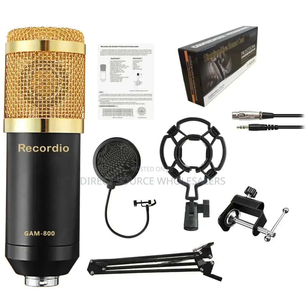 Studio Recording Mic With Shock Mount Stand