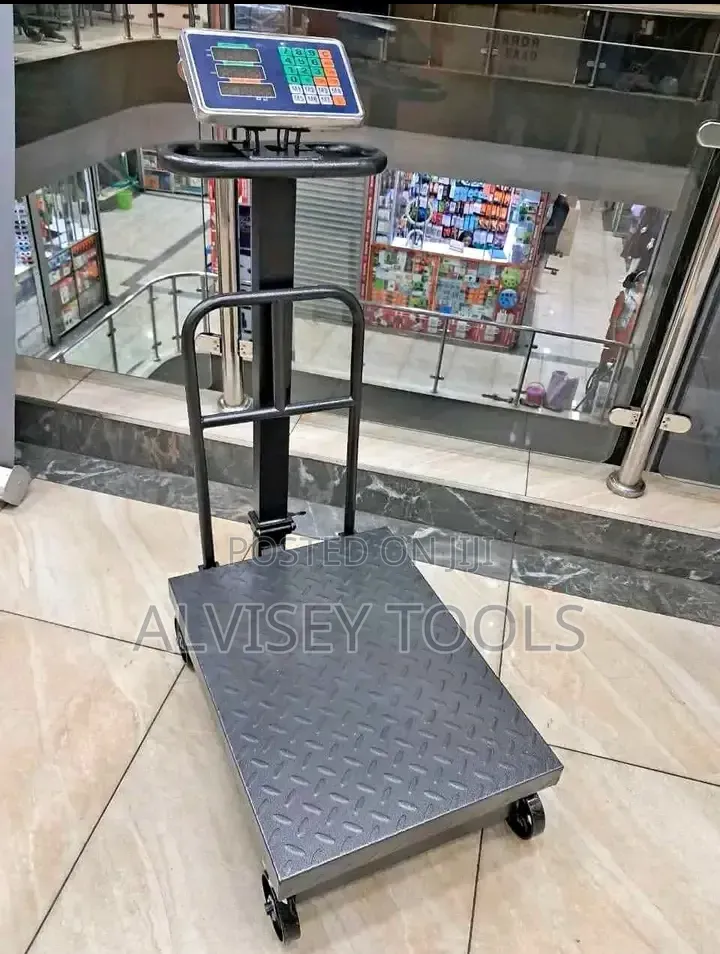 Digital Weighing Scale/Digital Platform Scale 600kgs