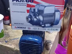 Limited Stock Original Davis and Shirtliff Pedrollo Water Pump