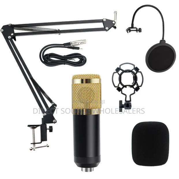 Professional Vocal Recording Microphone