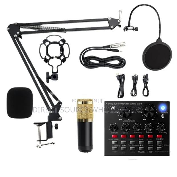 Professional Vocal Recording Microphone - thumbnail 2