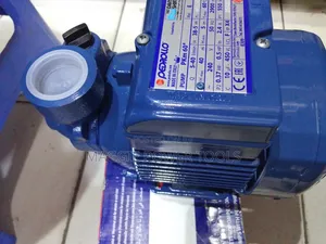 Highly Recommend and Guaranteed Davis Pedrollo/0.5hp Davis Water Pump