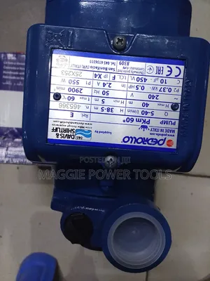 Well Performing and Professional 0.5hp Davis Water Pump