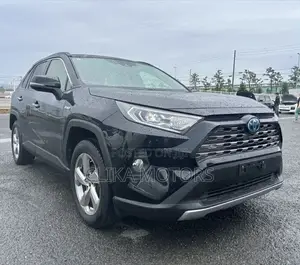 Toyota RAV4 Hybrid 2020 Matt Black