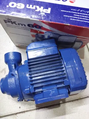 New and Reliable Davis Pedrollo Water Pump Machine/