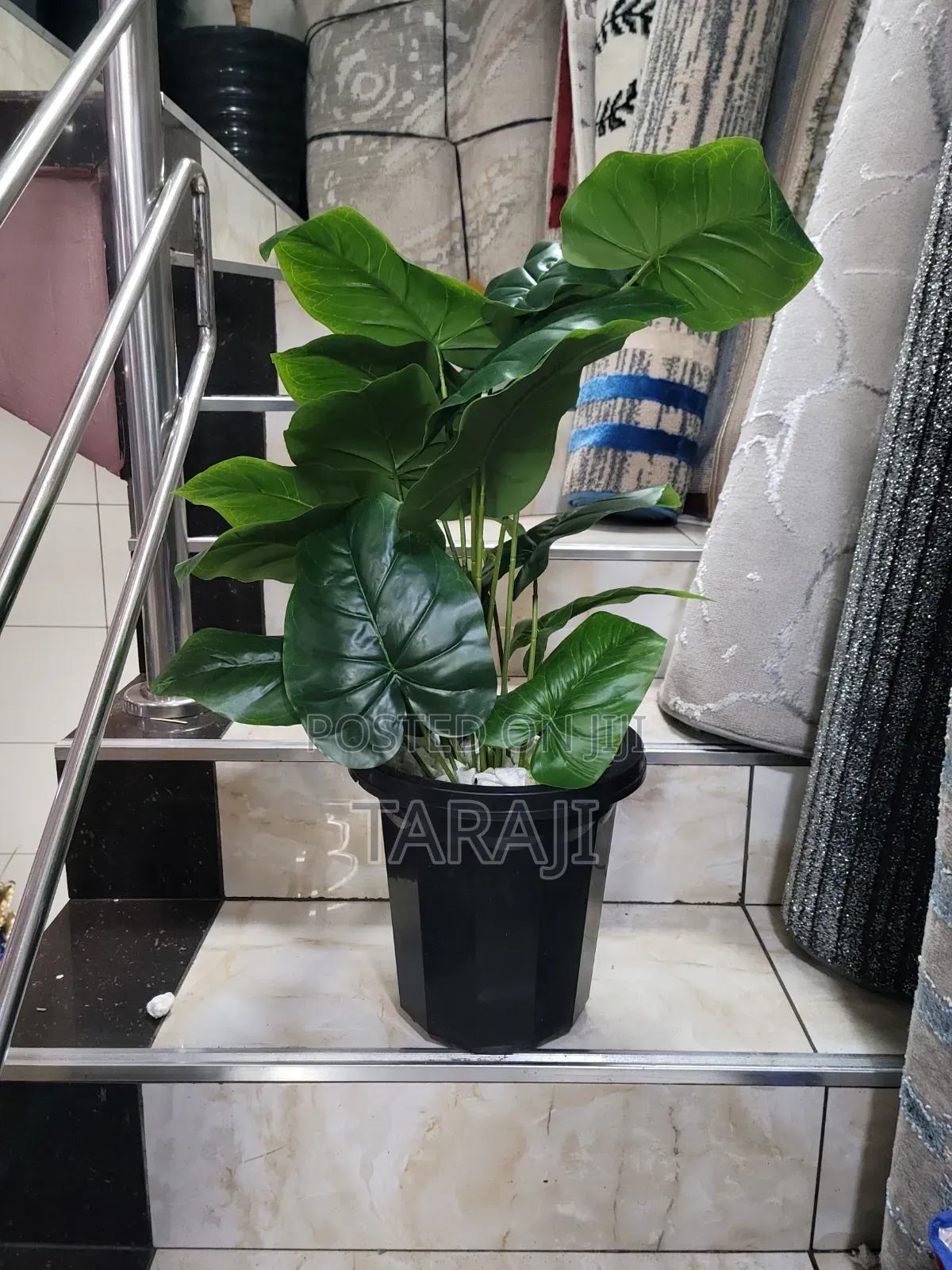 Modern Mini Planters Indoor Plants