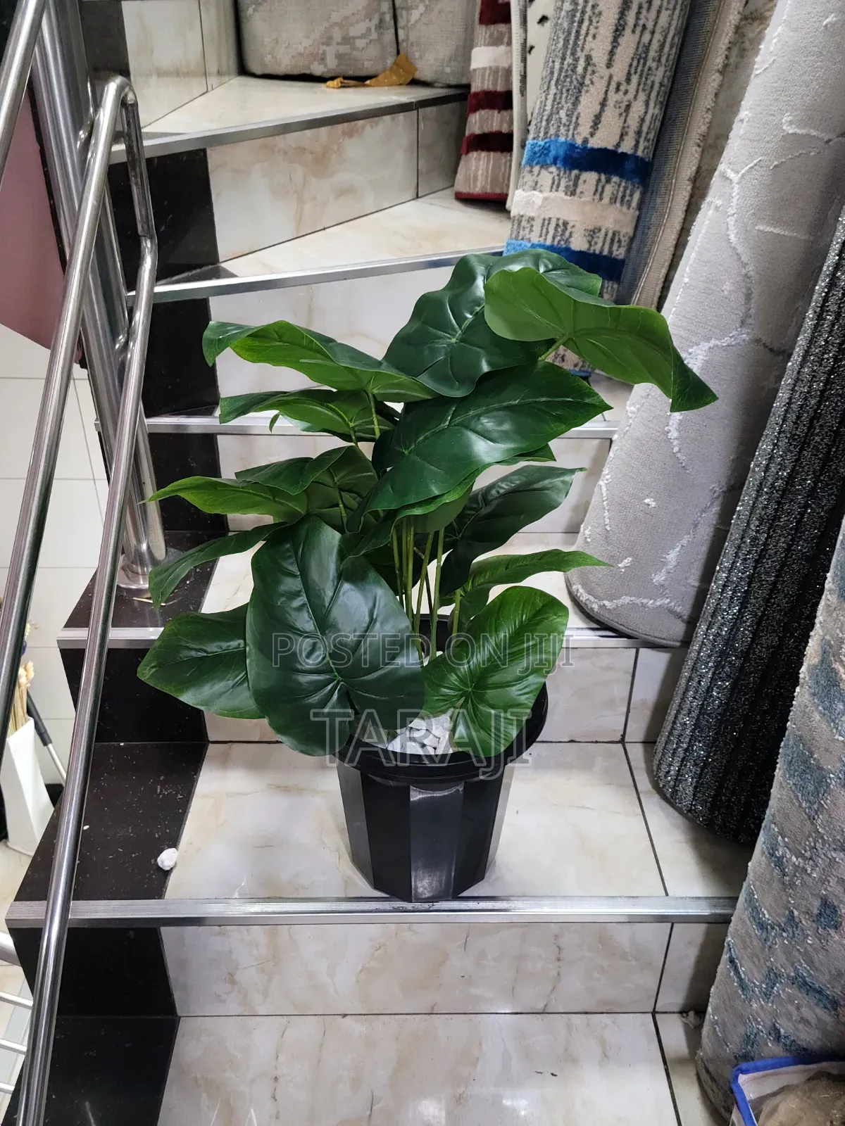 Modern Mini Planters Indoor Plants