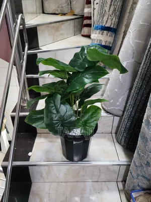 Modern Mini Planters Indoor Plants