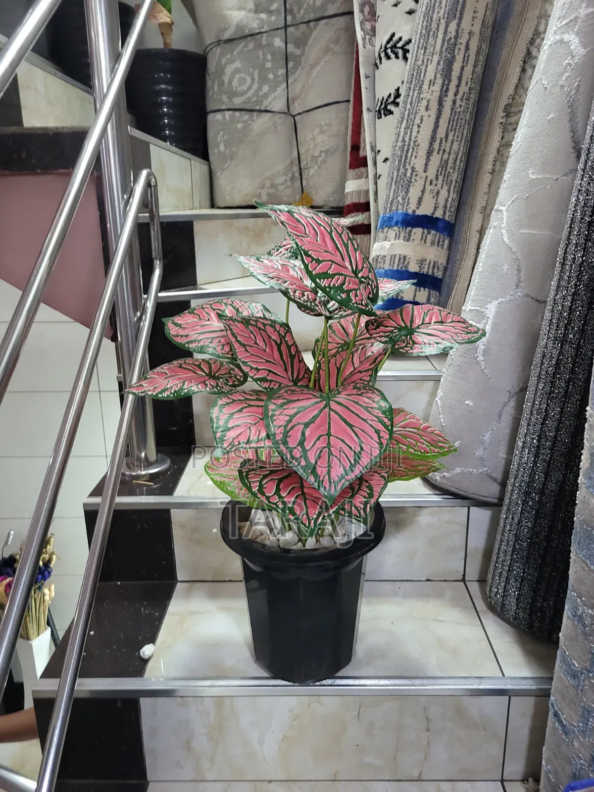 Modern Mini Planters Indoor Plants
