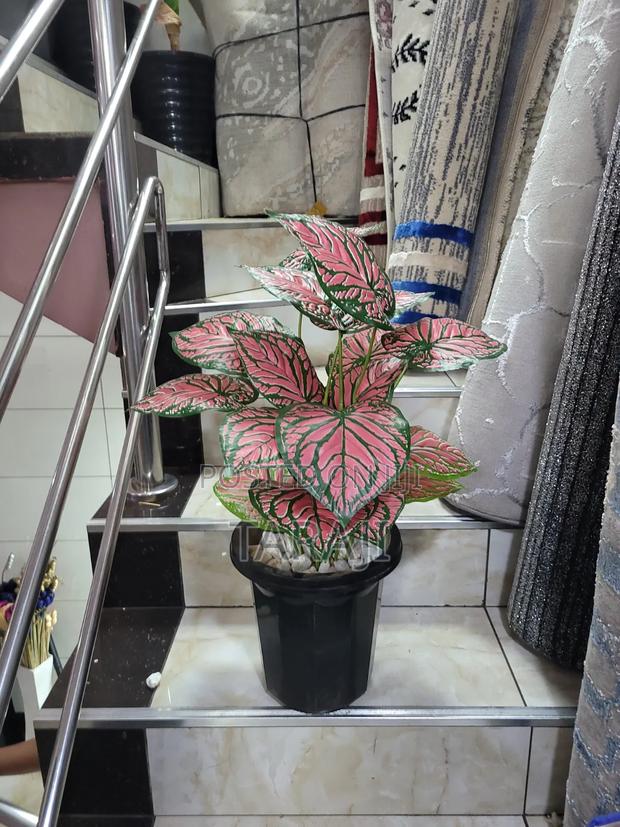 Modern Mini Planters Indoor Plants - thumbnail 4