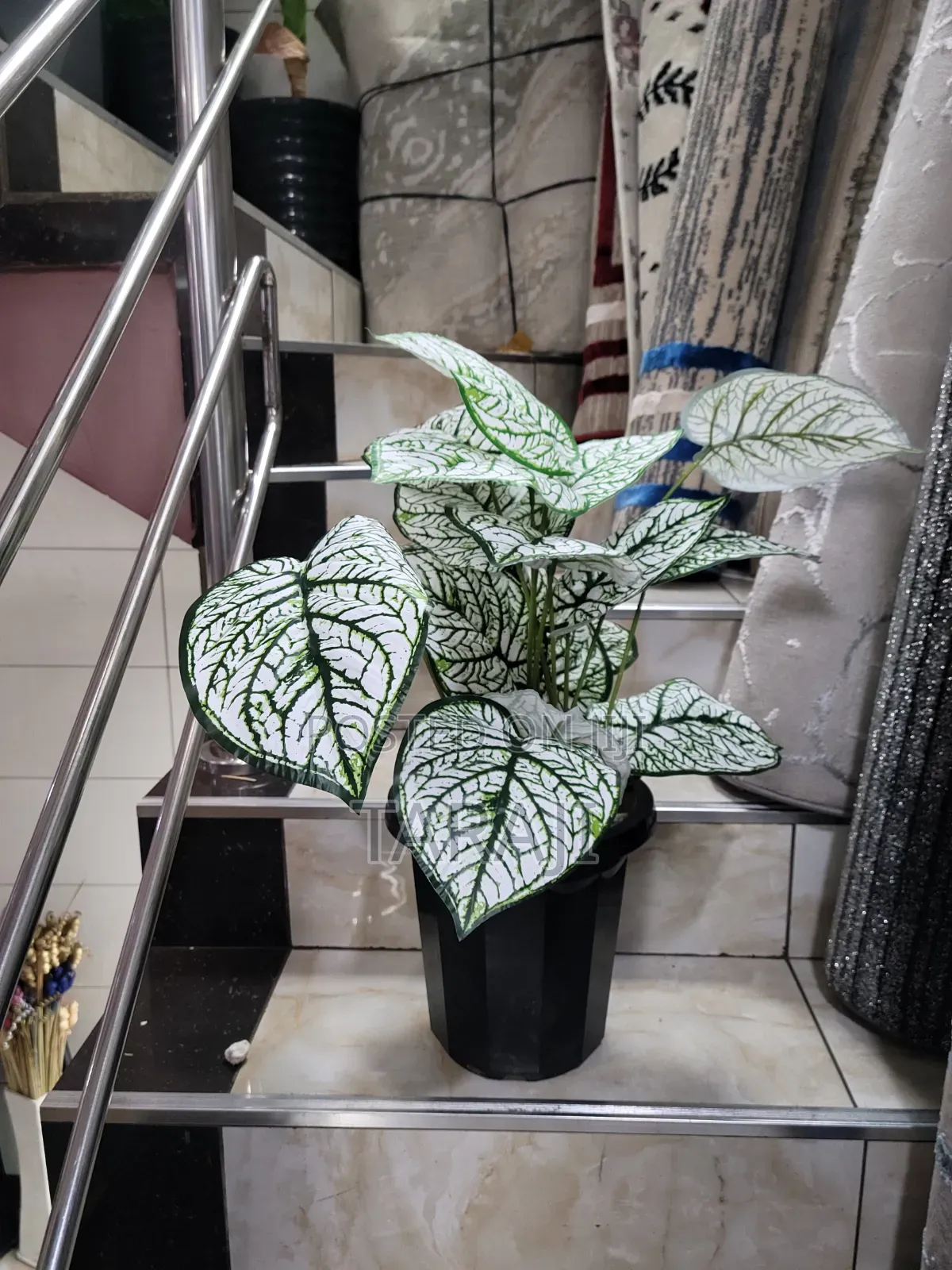 Modern Mini Planters Indoor Plants