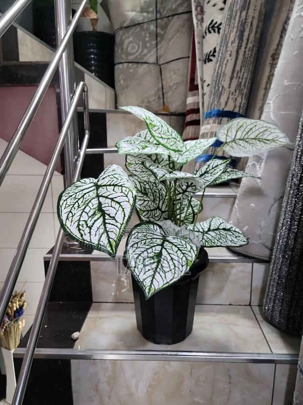 Modern Mini Planters Indoor Plants - thumbnail 5