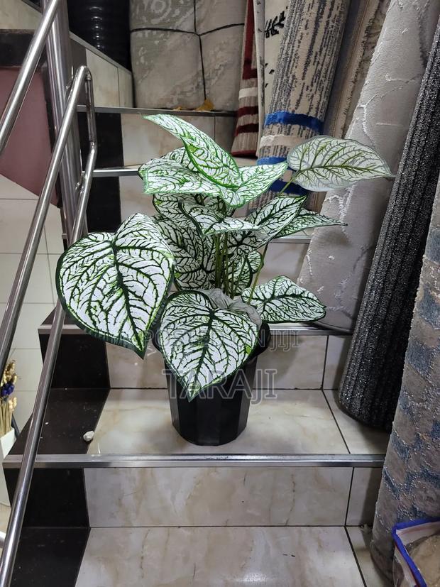Modern Mini Planters Indoor Plants - thumbnail 6