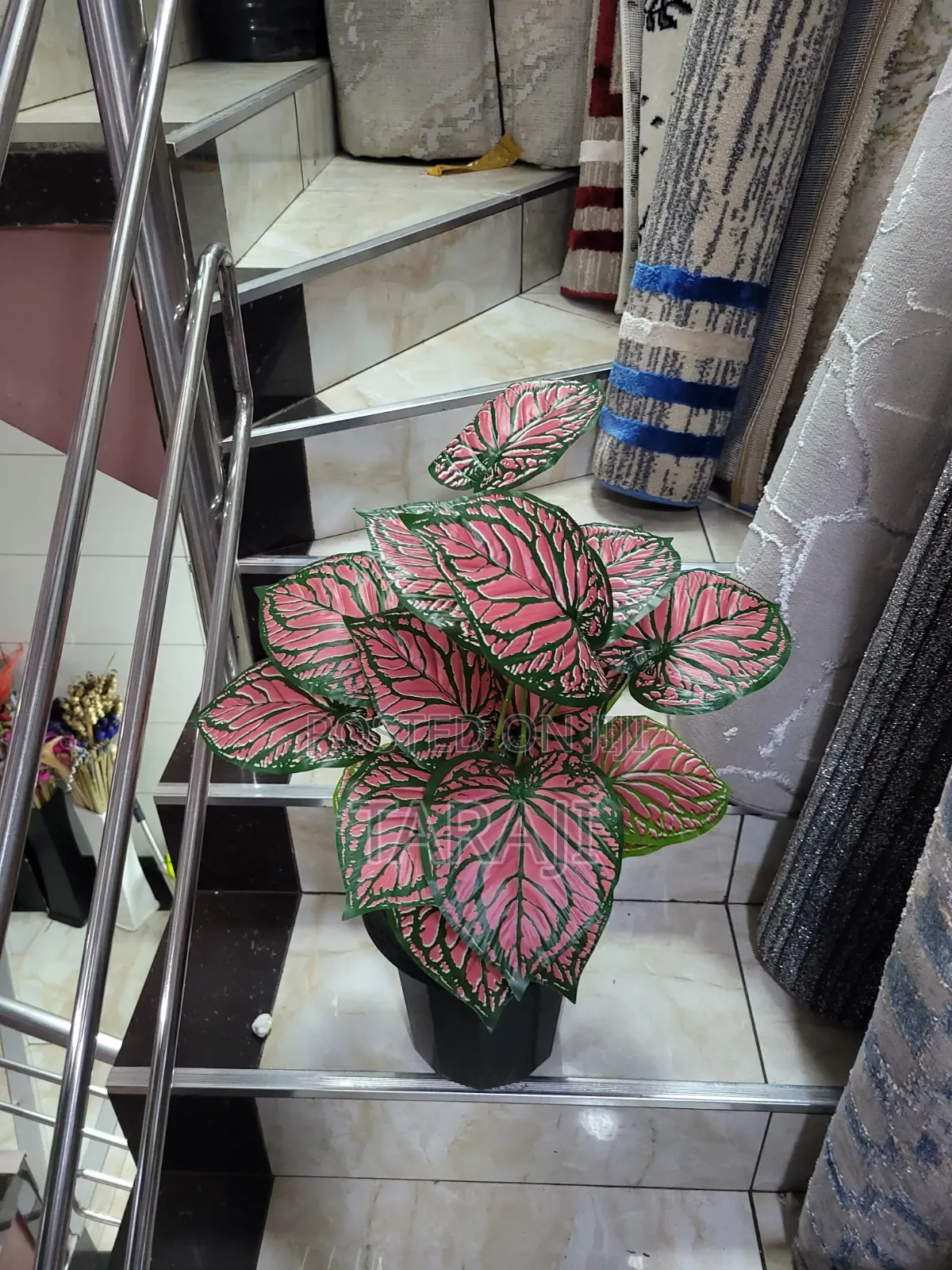 Modern Mini Planters Indoor Plants
