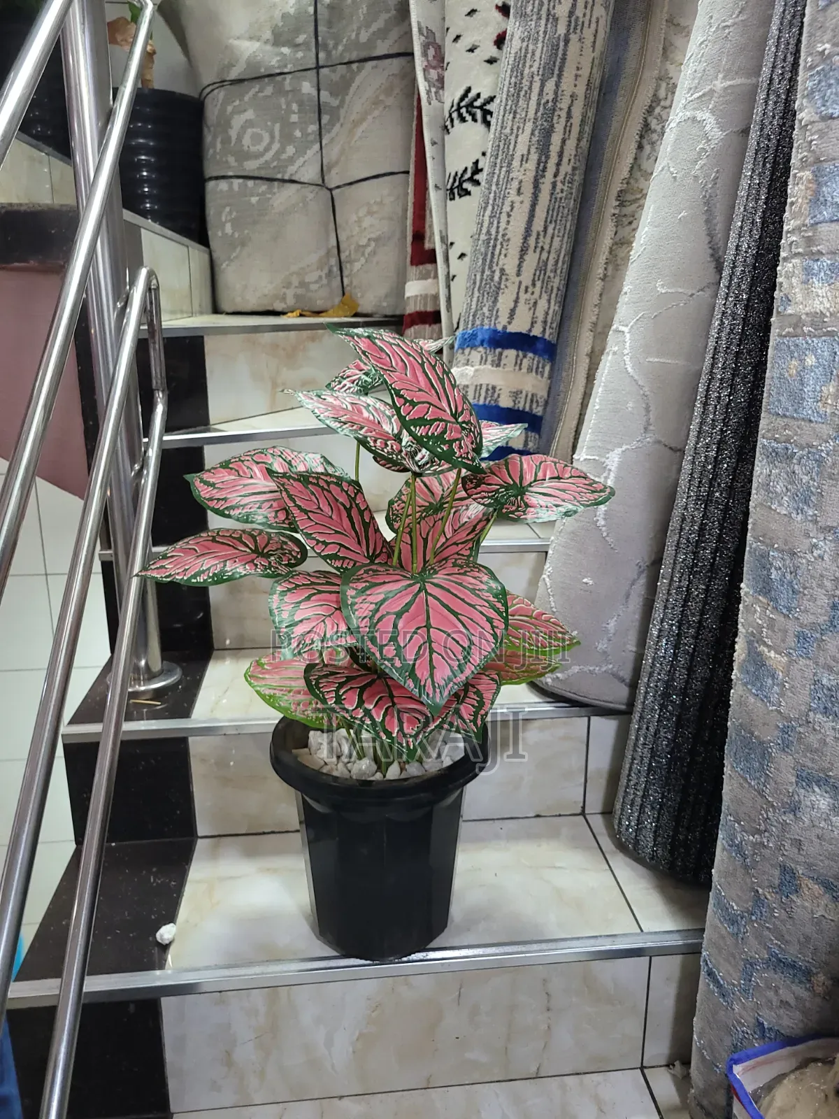 Modern Mini Planters Indoor Plants