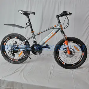: Hi-Roadsix R5 20" Mountain Bike –