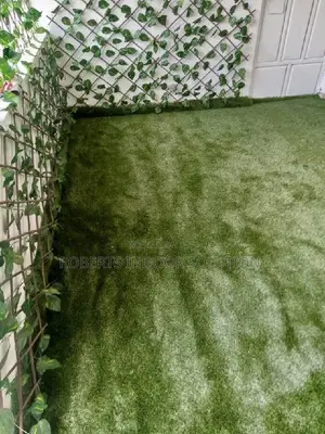 Outdoor Area Grass Carpet