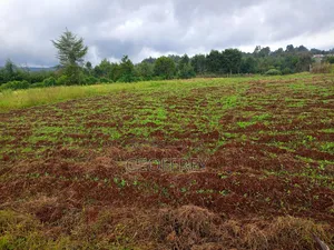 19 Acres for Sale in Nyandarua Njambini Gabongo