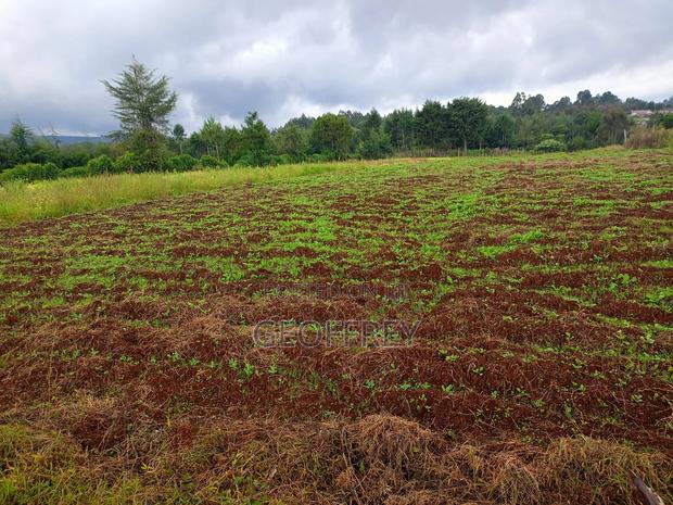 19 Acres for Sale in Nyandarua Njambini Gabongo