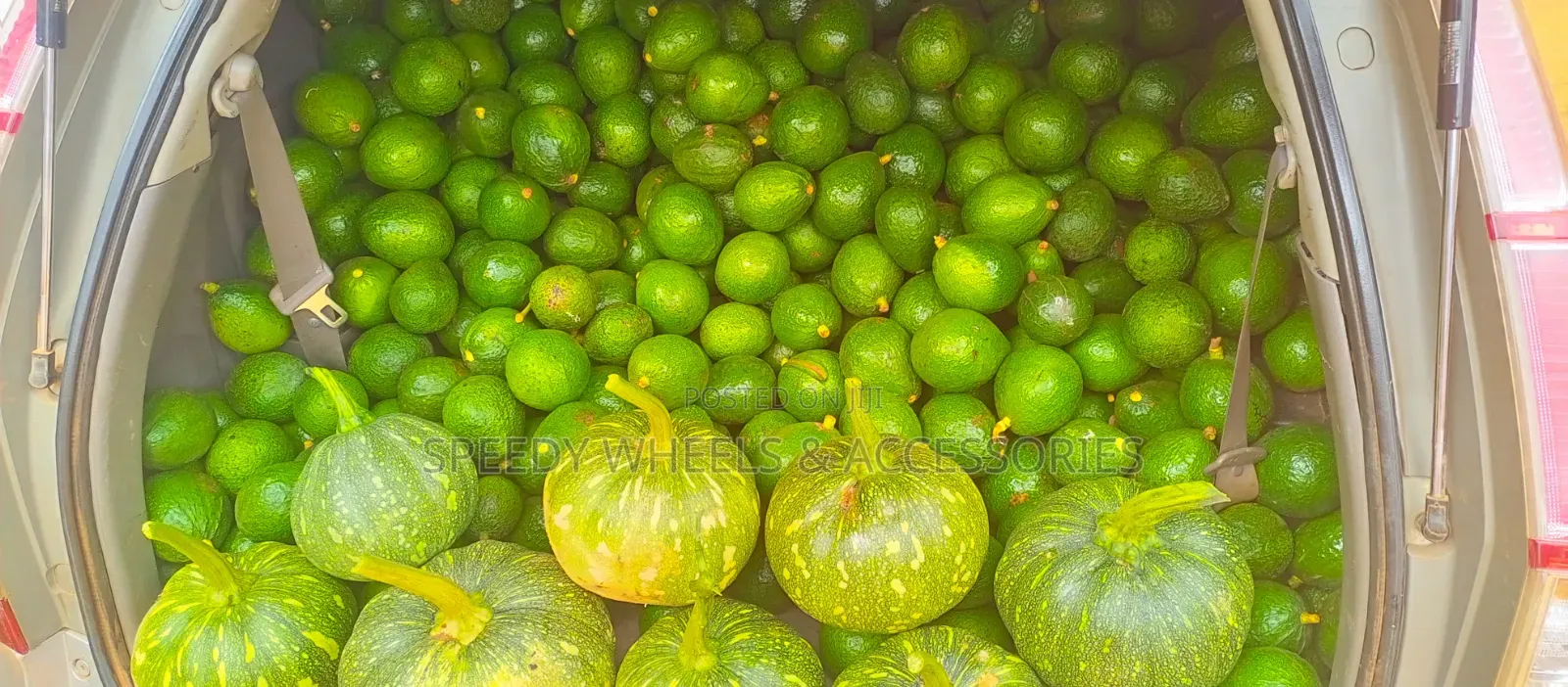 Avocados And Pumpkins For Sale