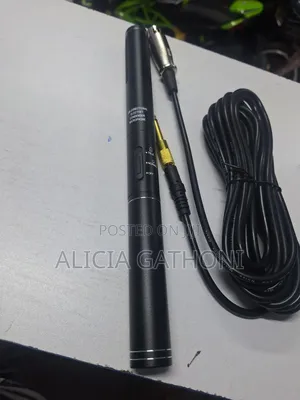 Boom Microphone