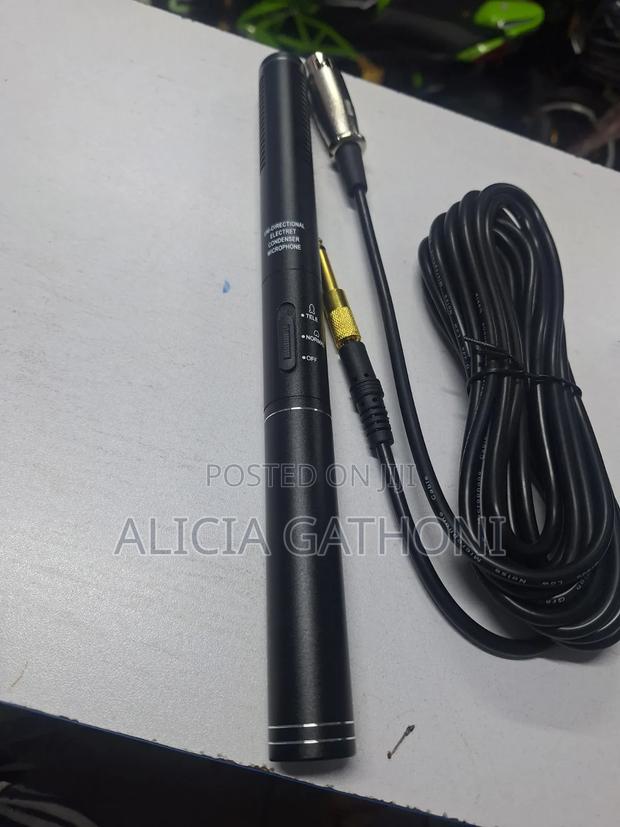 Boom Microphone