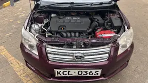 Toyota Axio 2011 Maroon