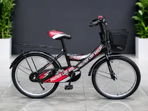 Size 20 Premier Lion King Kids Bicycle With Basket Carrier